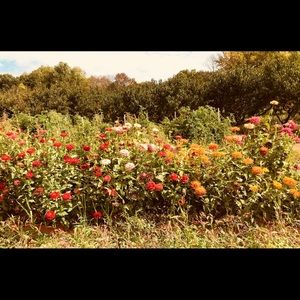 Meet your Posher, Logan